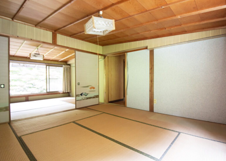 11-_MG_0349