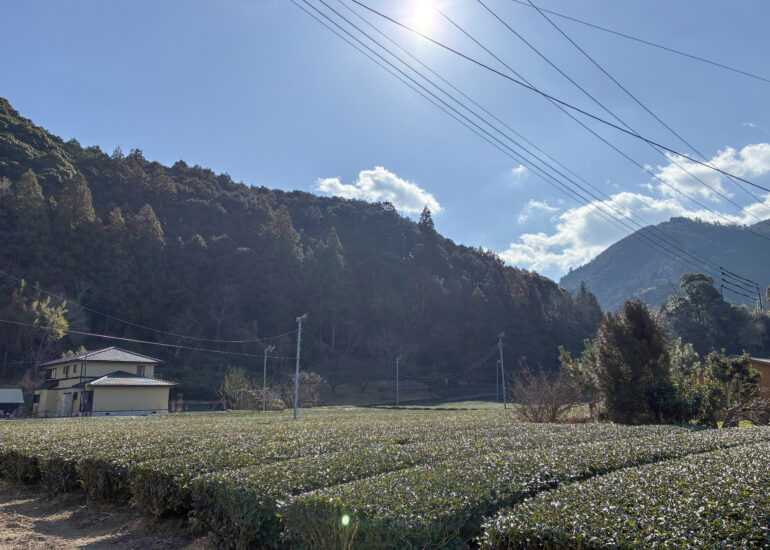 6-4434403A-C475-4631-A212-86A237880282