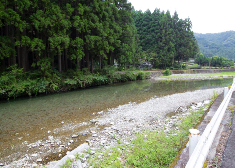 13-IMG_0704