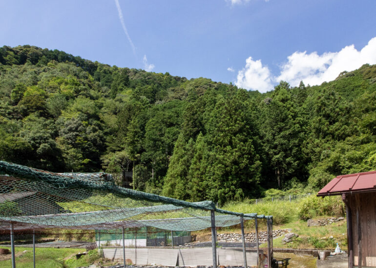 14-_MG_0729