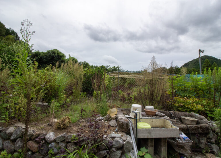 12-_MG_0964