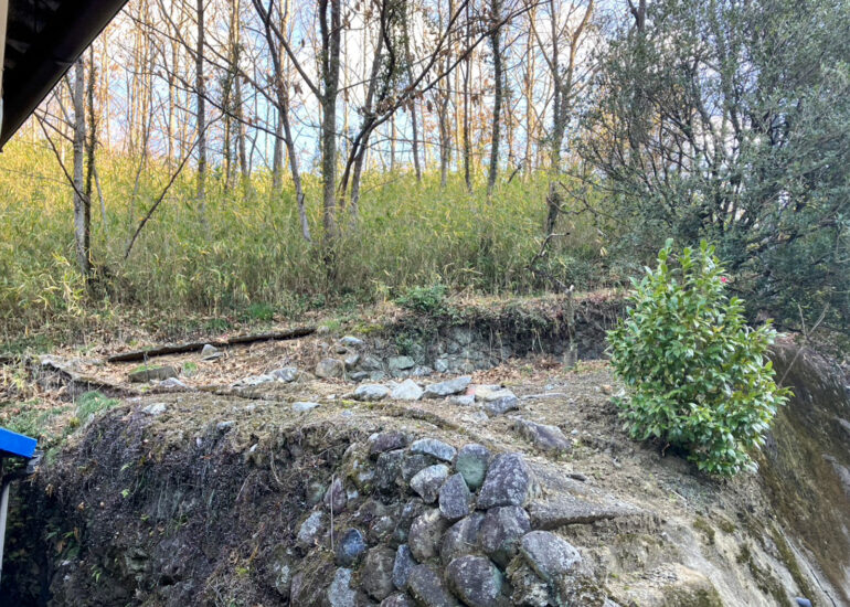 13-line_oa_chat_260110_144356_group_5