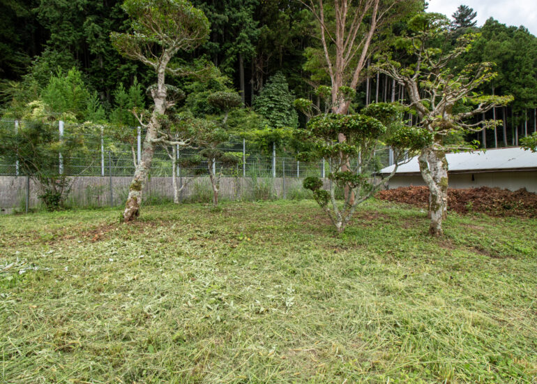 1-_MG_2009
