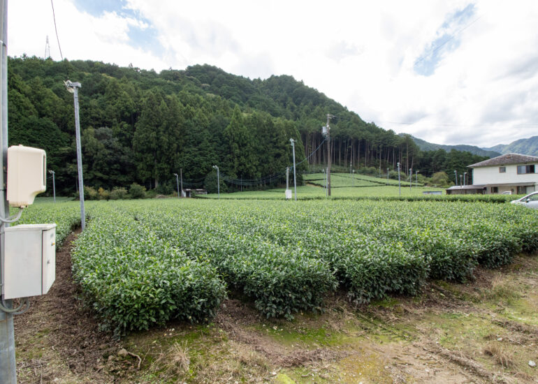 33-_MG_2473